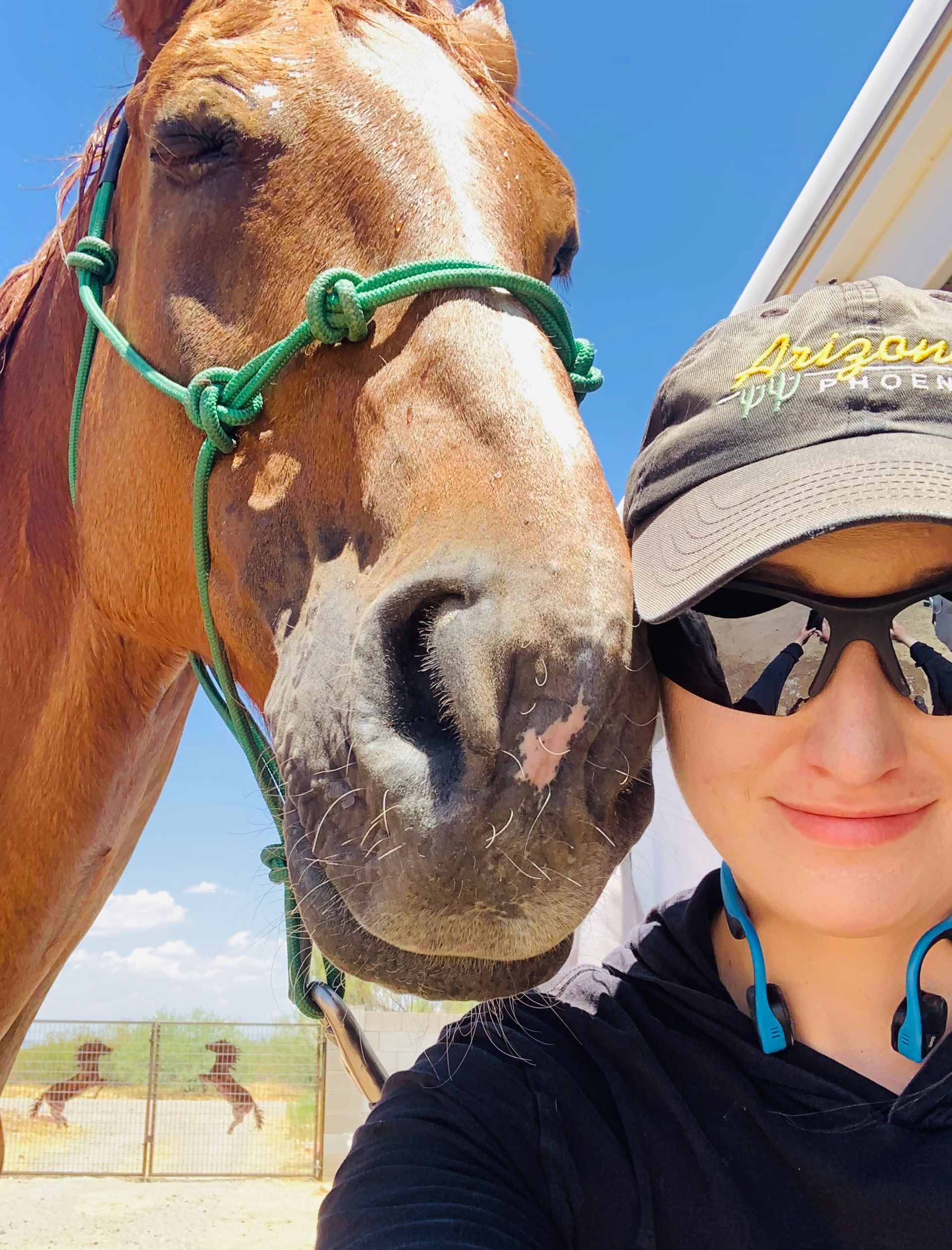 A woman wearing sunglasses and a hat is standing next to a brown horse.