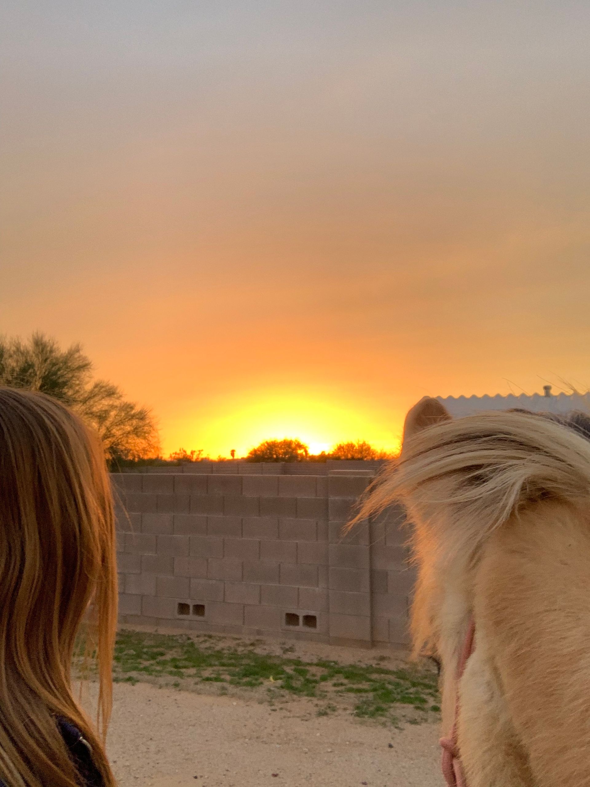a woman and a horse are standing in front of a sunset .