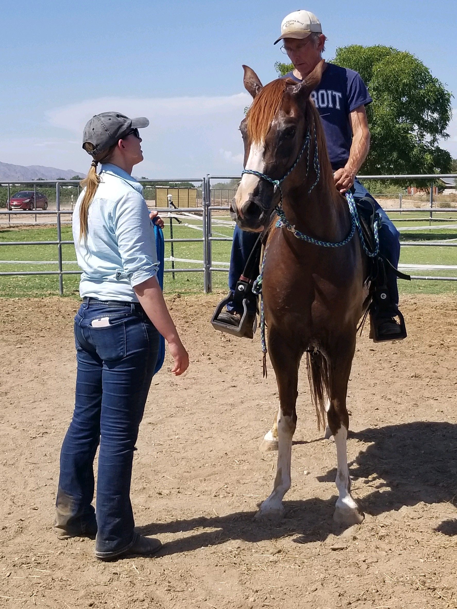 a woman riding a horse jumping over a fence
