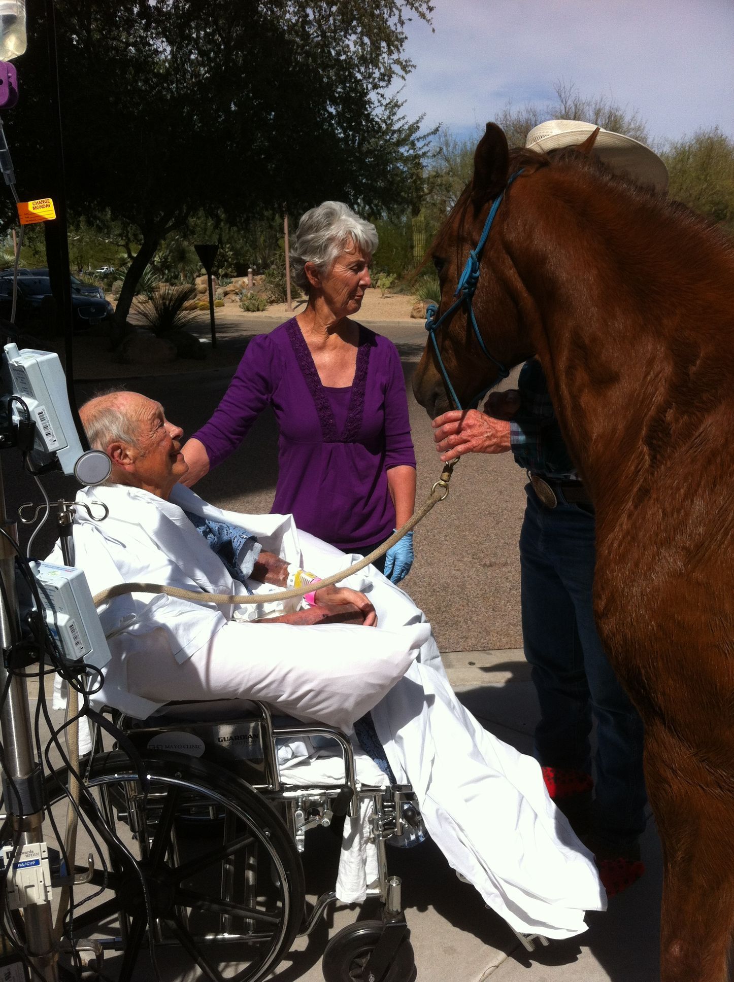 man in hospital bed with horse
