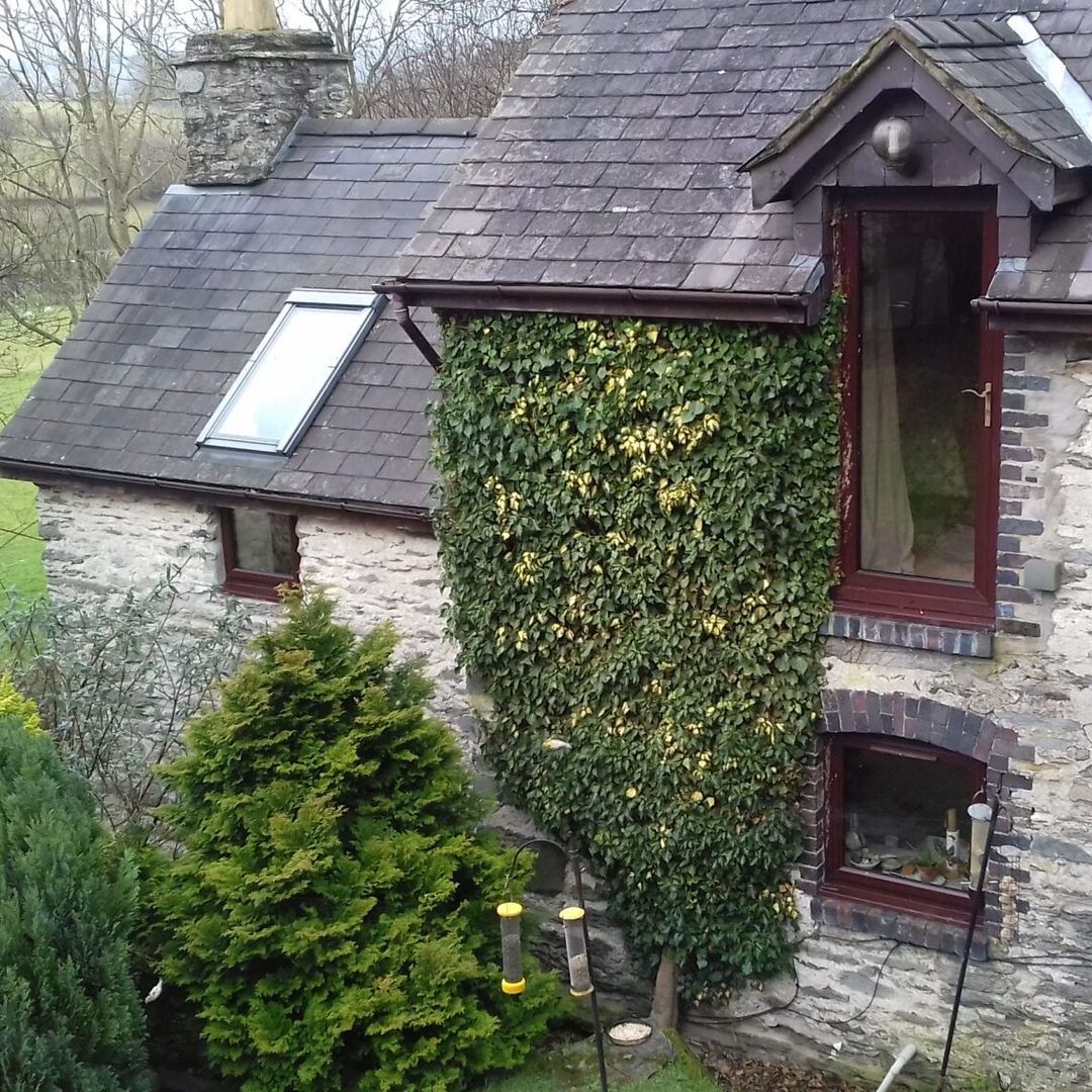 A stone house with a roof that is covered in ivy