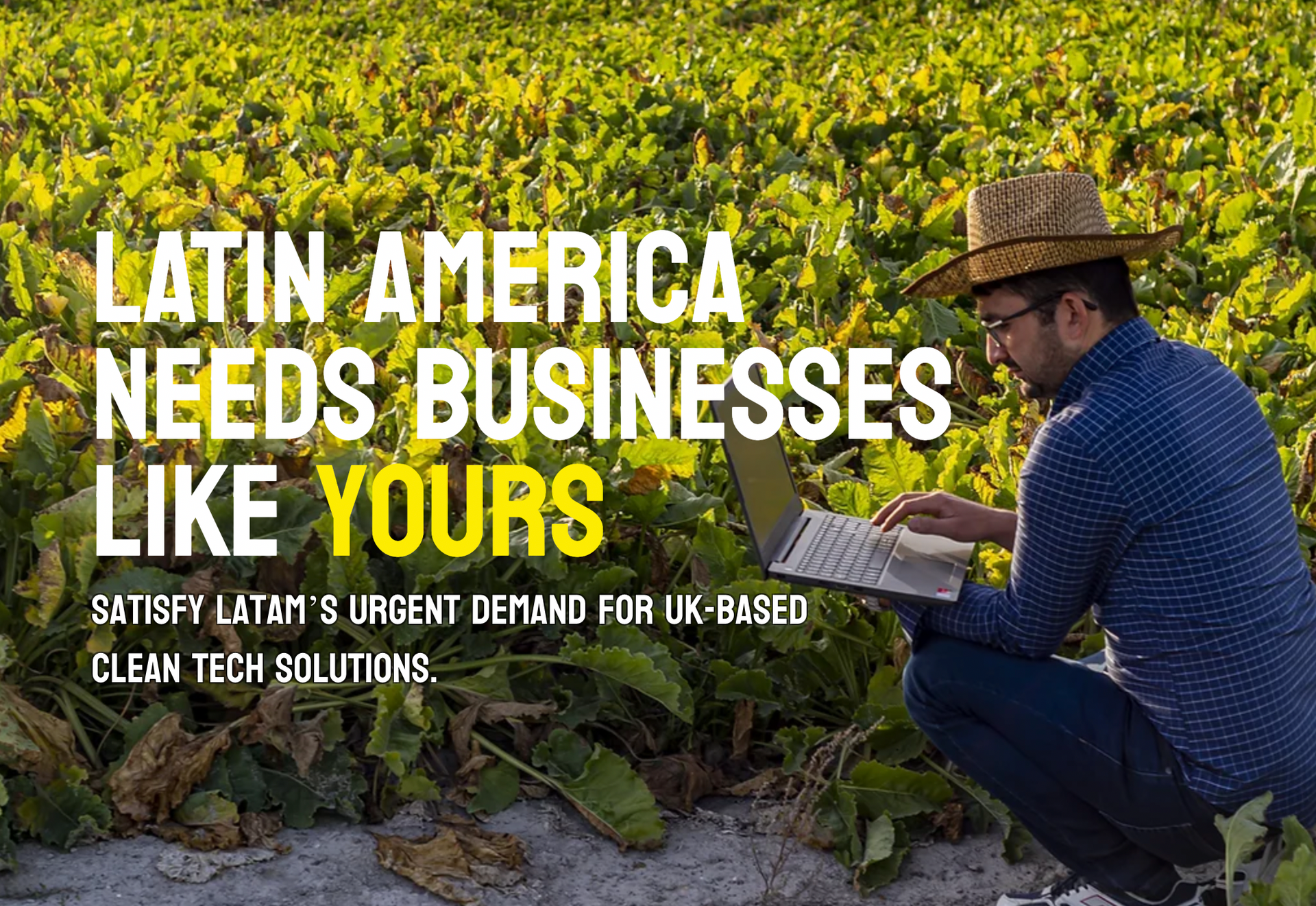 LatAm Business messaging and a man with laptop in a field