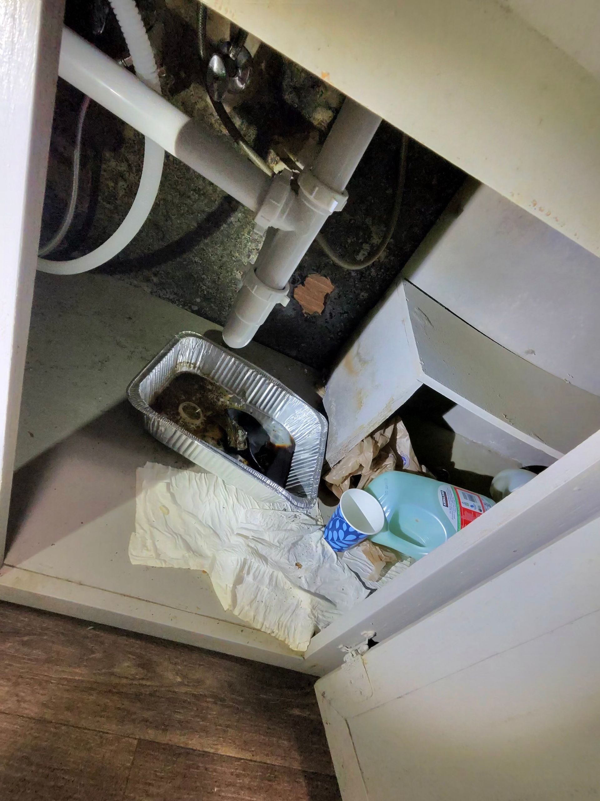 Inside a cabinet under a sink: pipes, aluminum tray with debris, cleaning supplies, and a paper towel.