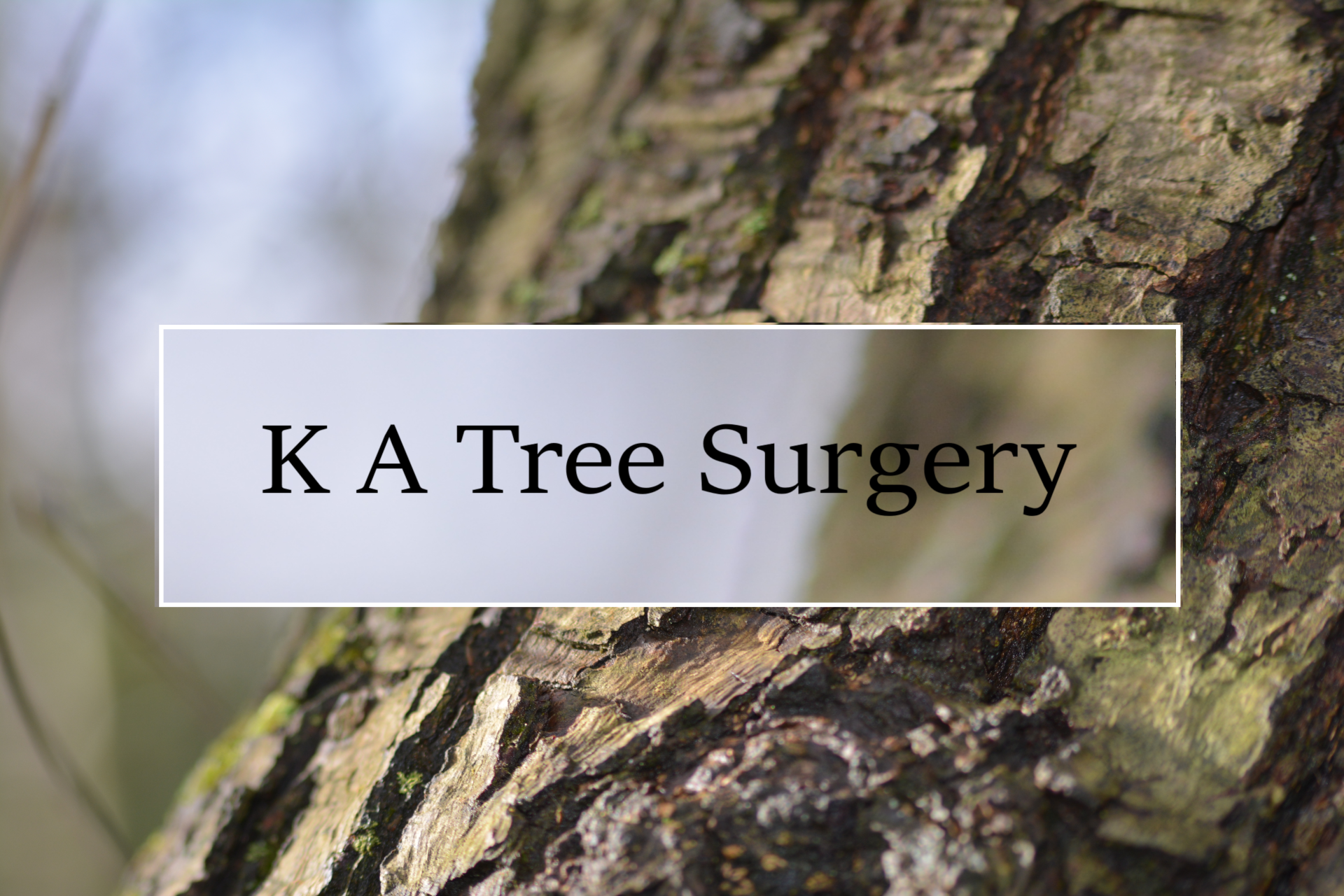 Home [katreesurgery.co.uk]