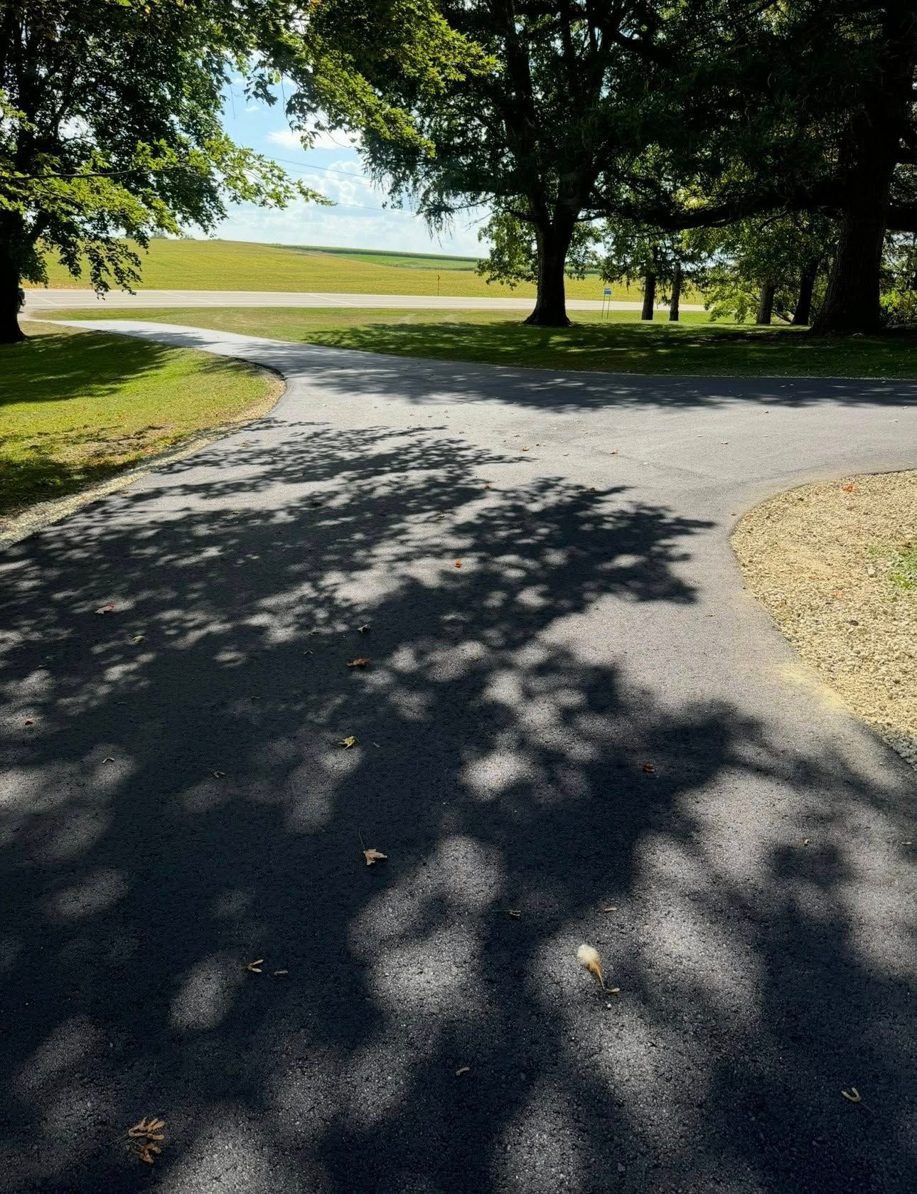 A paved driveway forks in a park with large trees casting dappled shadows over the path toward a grassy field.