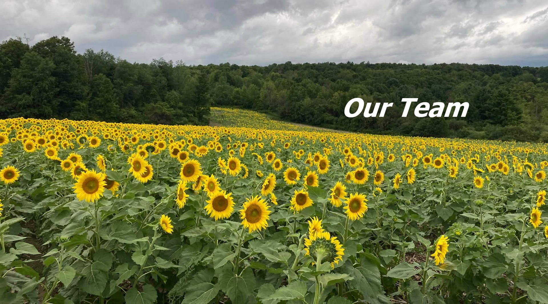 Our Team at Camp Lookout