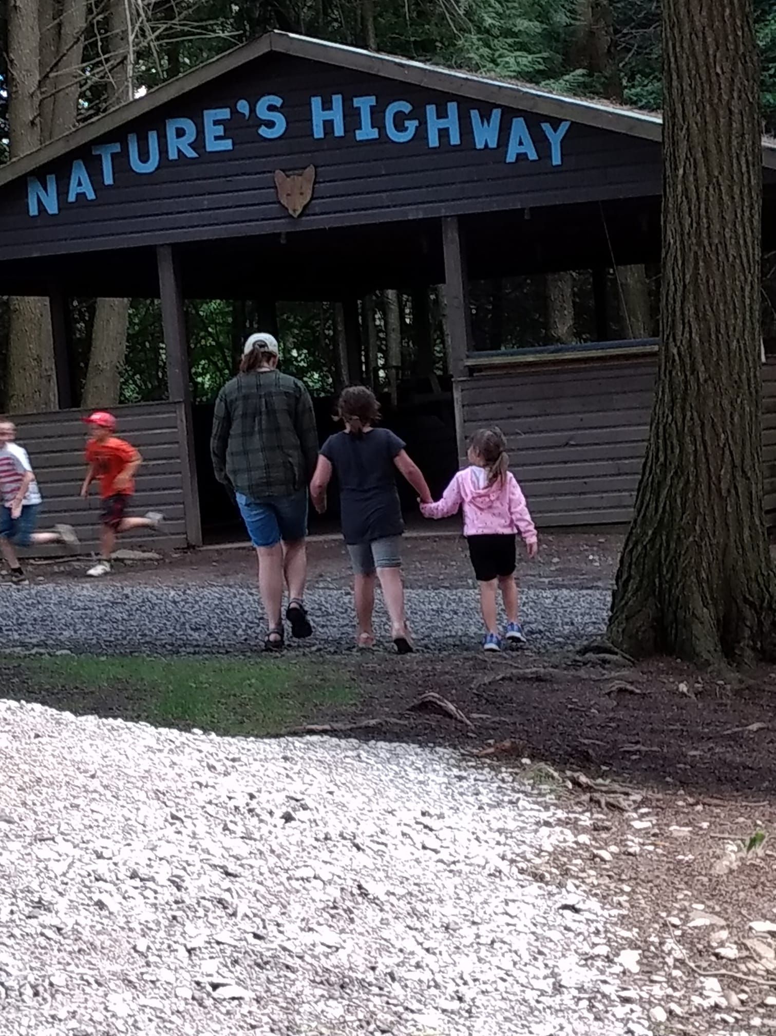 Camp Lookout pictures