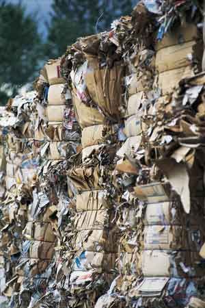 ¿Por qué es importante el reciclaje?