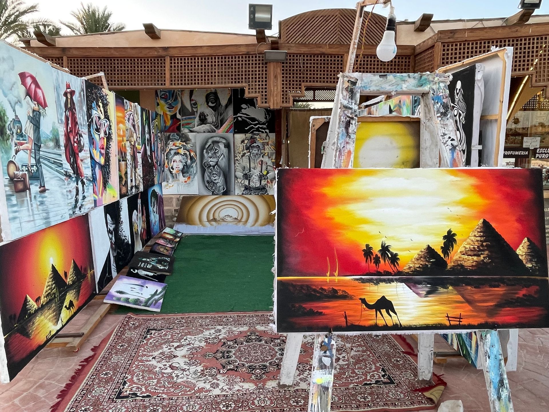 Marsa Alam, Red Sea, Egypt