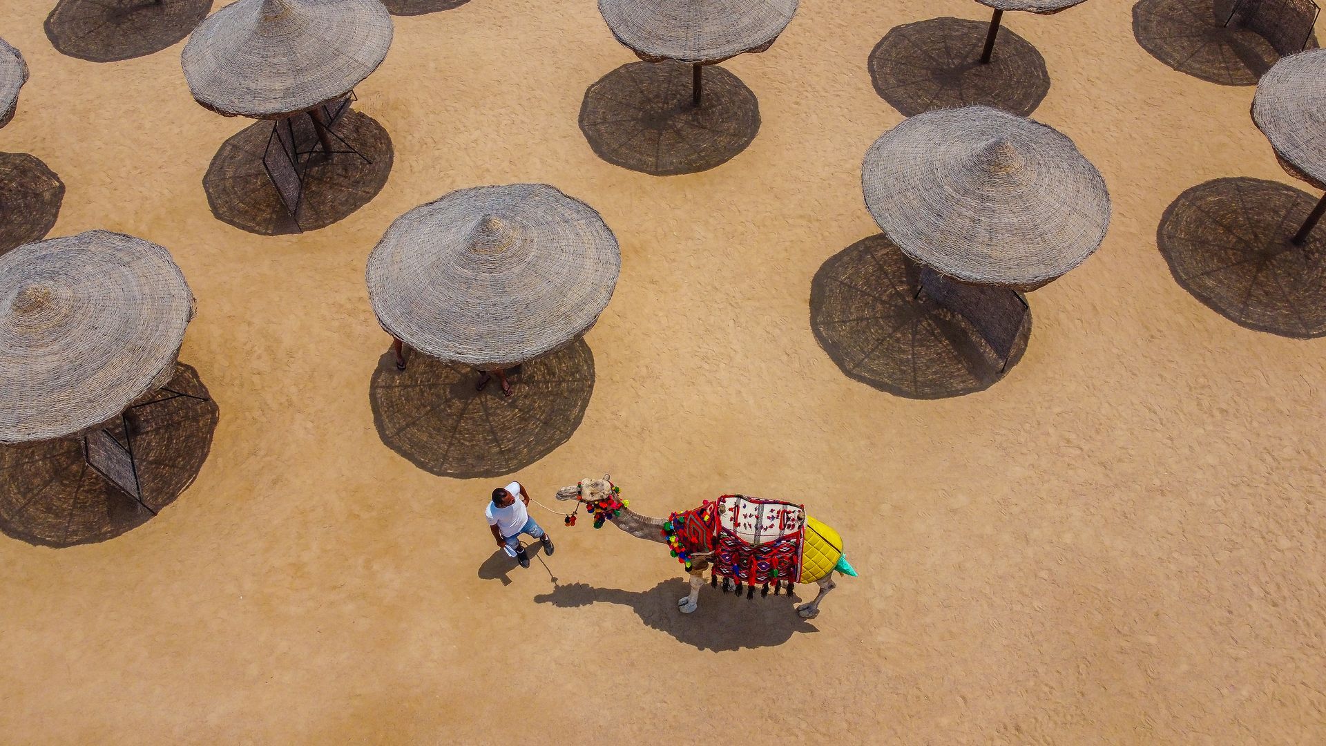 Marsa Alam, Red Sea, Egypt