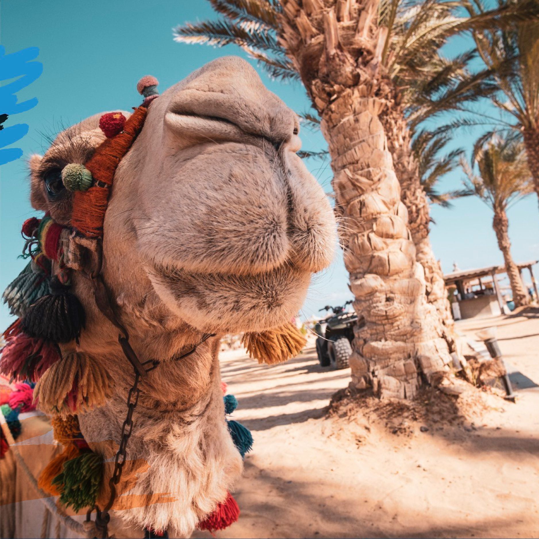 Marsa Alam, Red Sea, Egypt