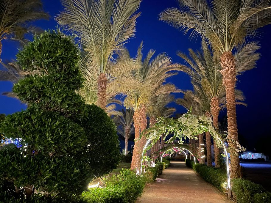 Marsa Alam, Red Sea, Egypt