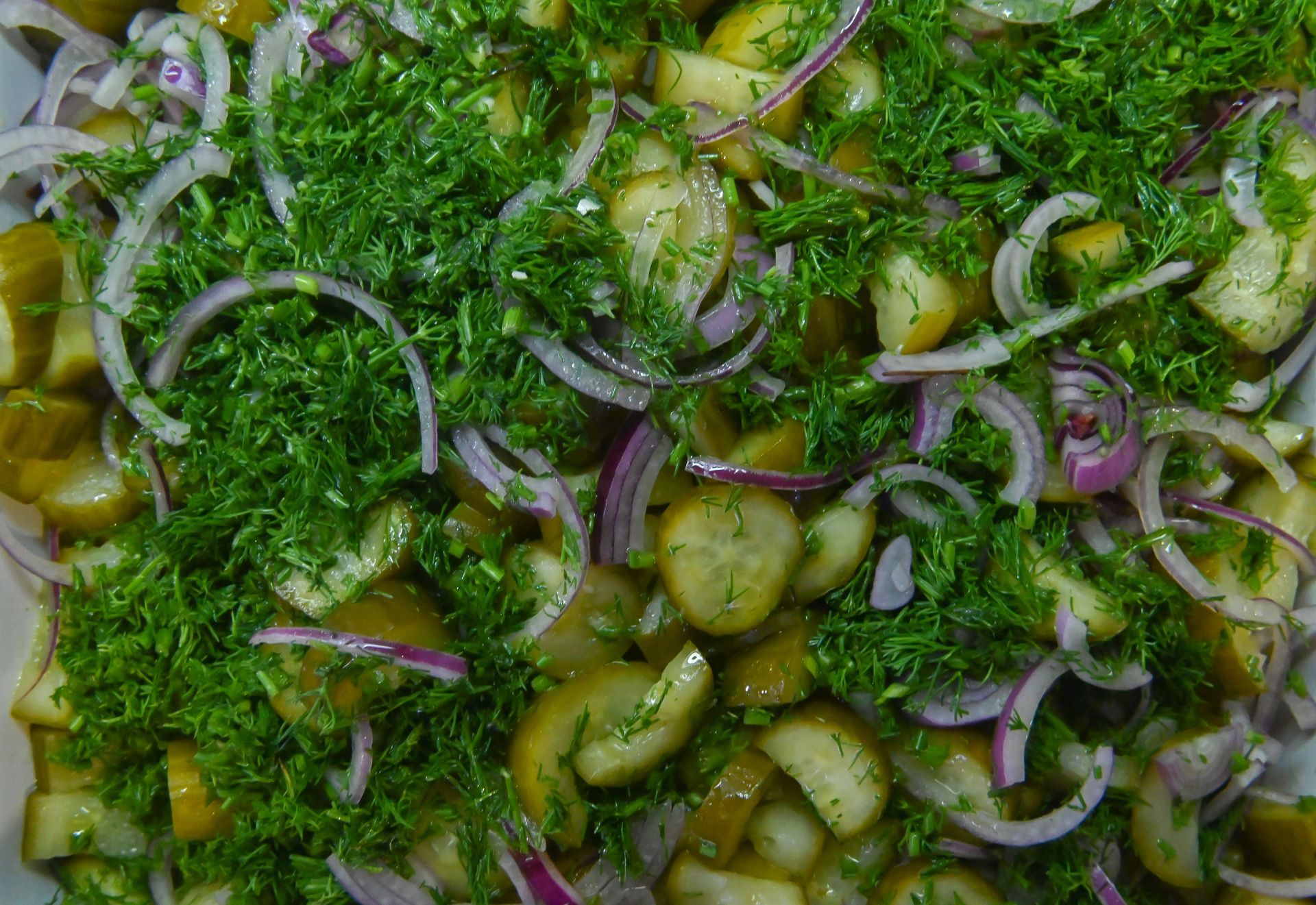 Marsa Alam, Red Sea, Egypt