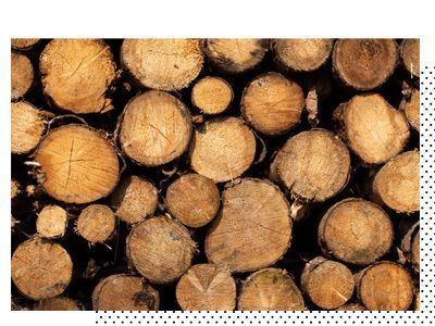 A pile of logs stacked on top of each other on a white background.