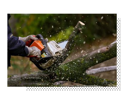 A person is cutting a tree branch with a chainsaw.