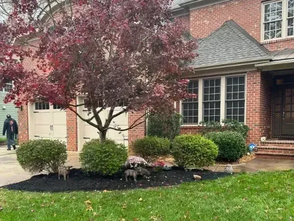 A brick house with a large lawn and a tree in front of it.