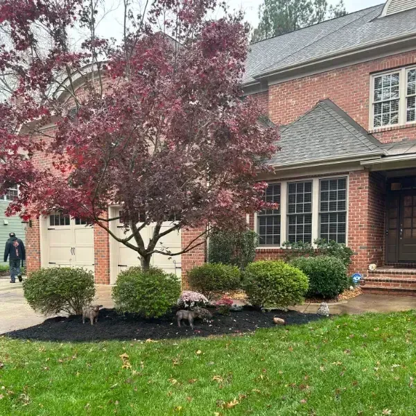 A white house with a tree in front of it