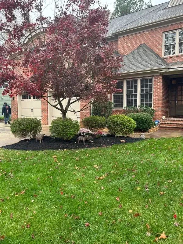 A brick house with a large lawn and a tree in front of it.