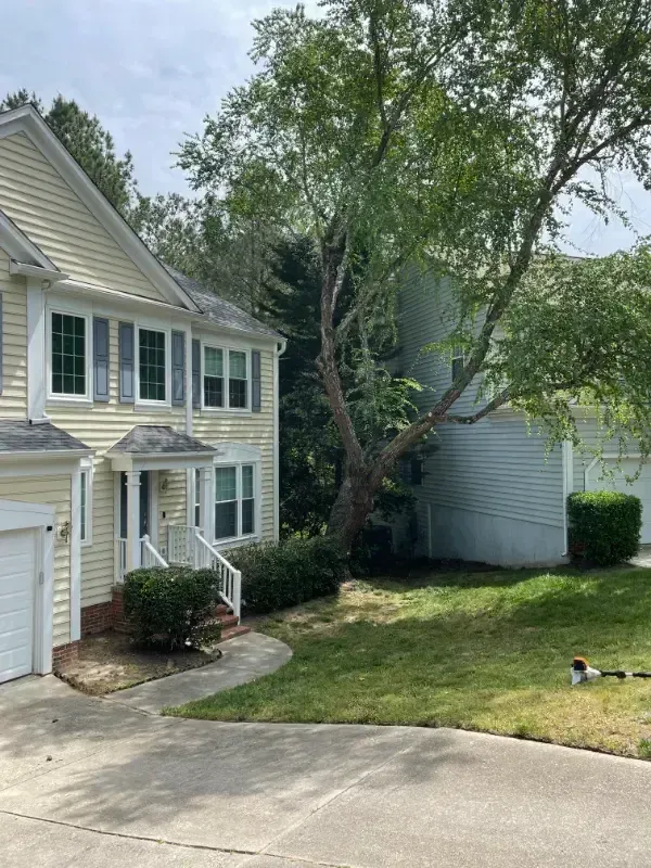 A white house with a tree in front of it