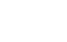 An Executive Tree Service