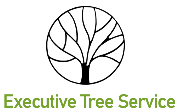 An Executive Tree Service