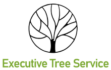 An Executive Tree Service