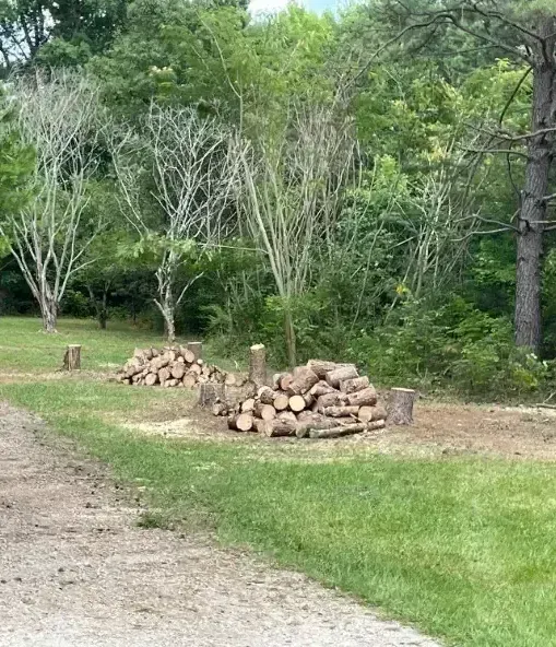 A pile of logs is sitting in the middle of a grassy field.