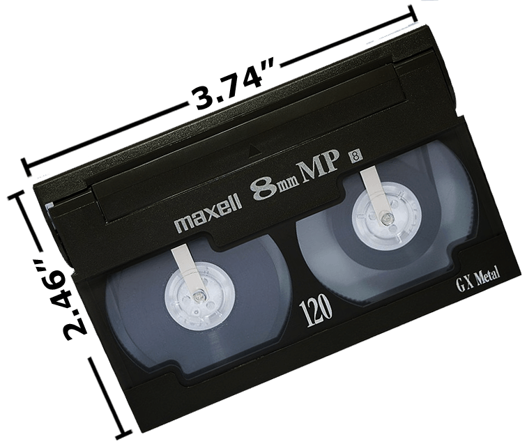 MEDIA TRANSFERS