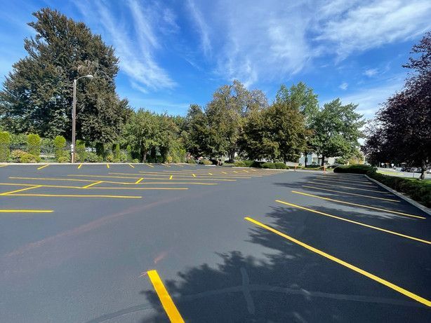 An empty parking lot with yellow lines and trees in the background.