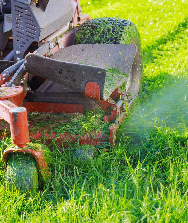A lawn mower is cutting a lush green lawn.
