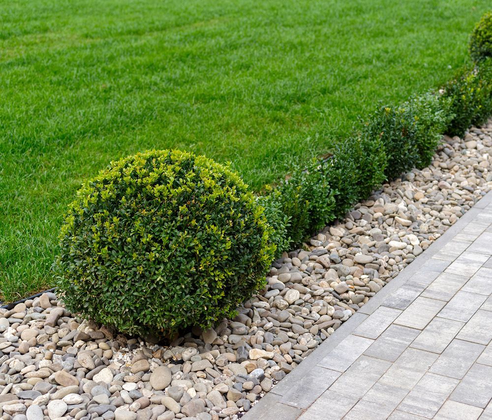 A row of bushes and rocks along a sidewalk next to a lush green lawn A row of bushes and rocks along a sidewalk next to a lush green lawn