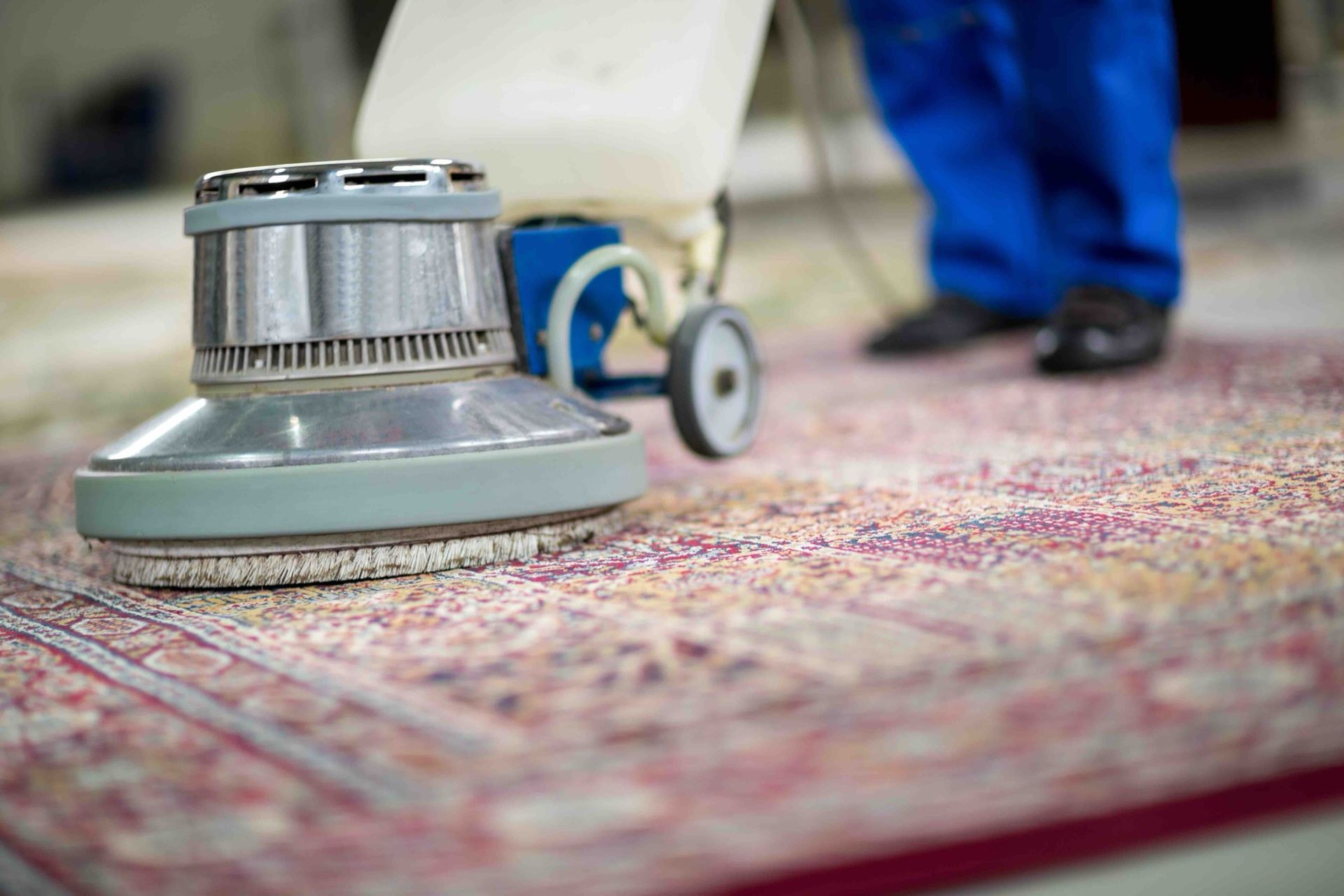 Person in blue overalls using a carpet cleaning machine on a patterned rug.