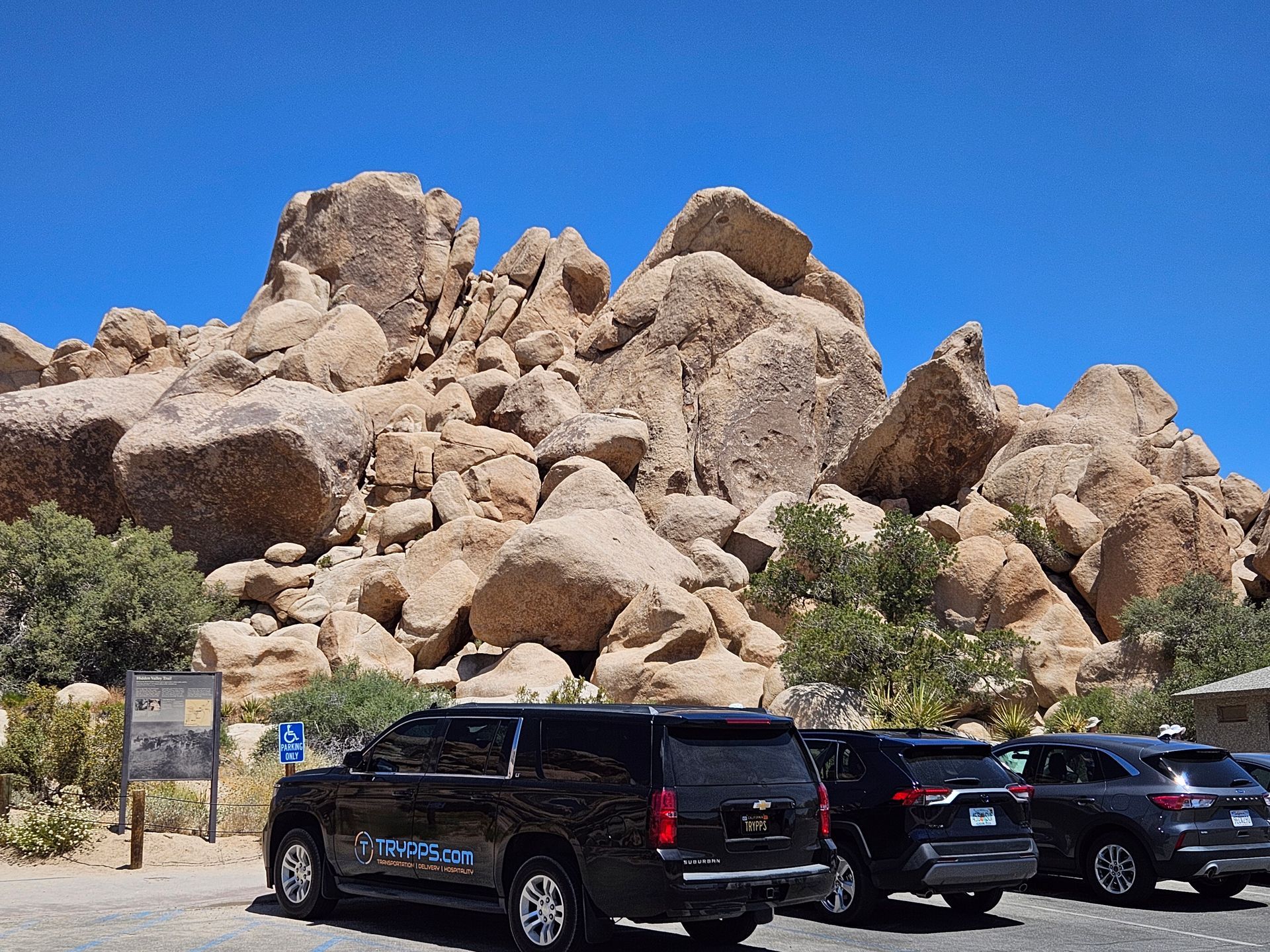 Large rock formations behind a row of parked black SUVs under a blue sky.