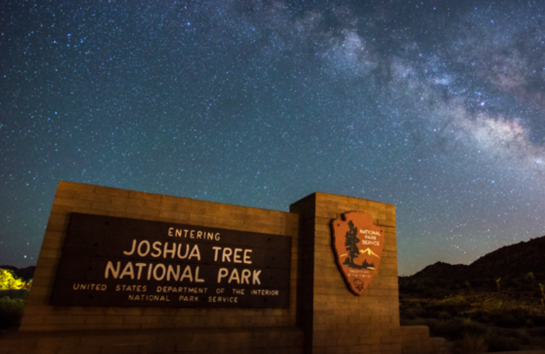 A sign for palm springs is surrounded by pink flowers and palm trees.