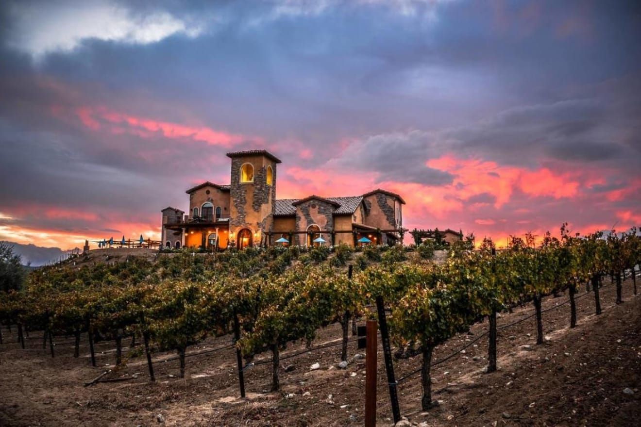 A large building is sitting on top of a hill next to a vineyard at sunset.