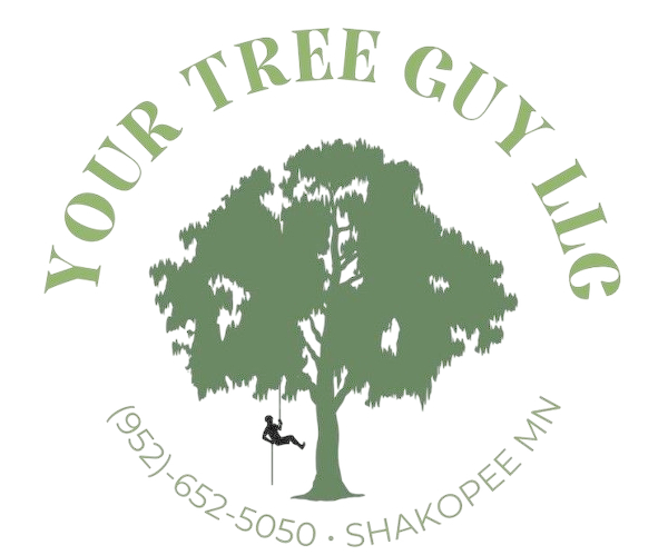 Your Tree Guy, LLC