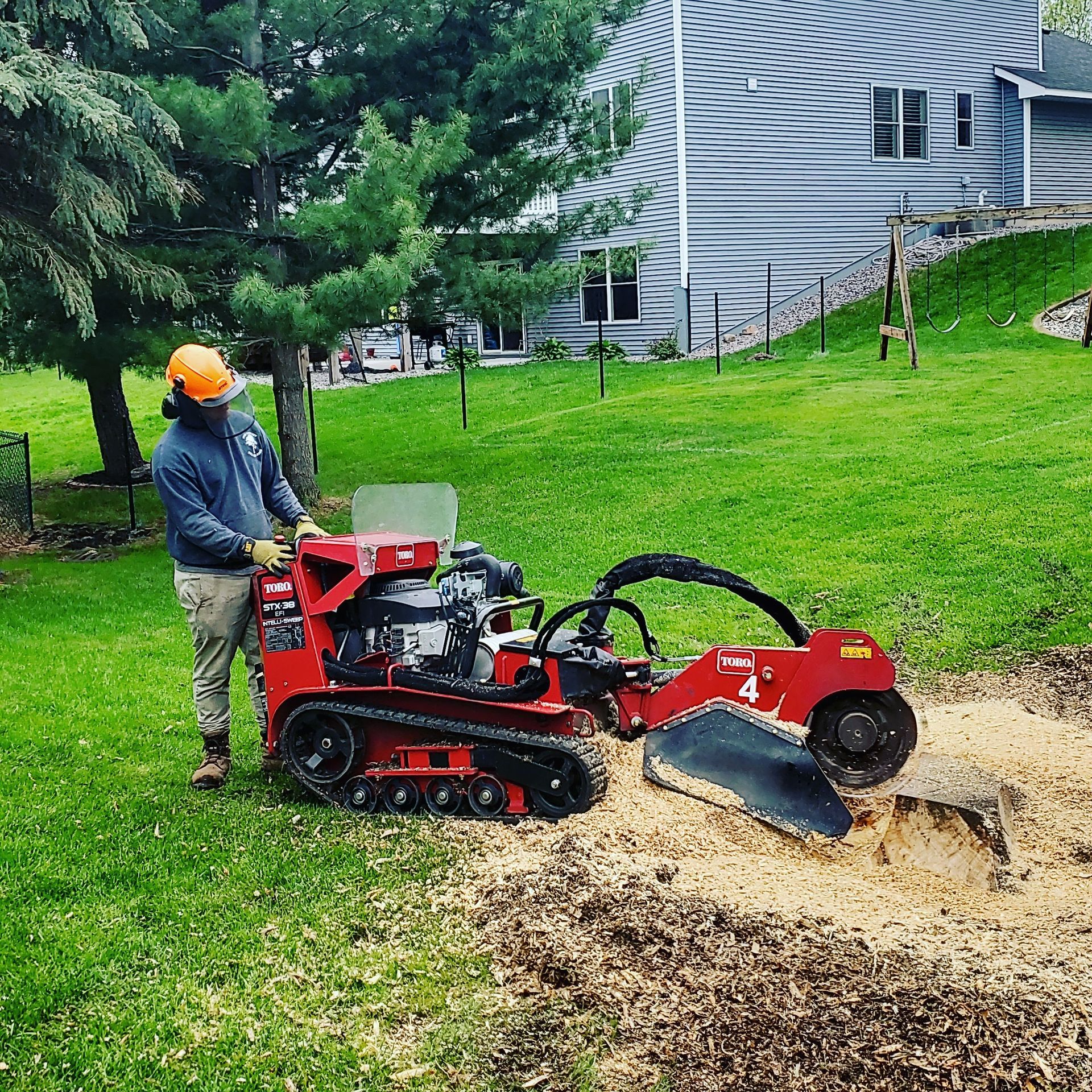 A man is cutting down a tree in front of a house - Shakope, MN - Your Tree Guy, LLC