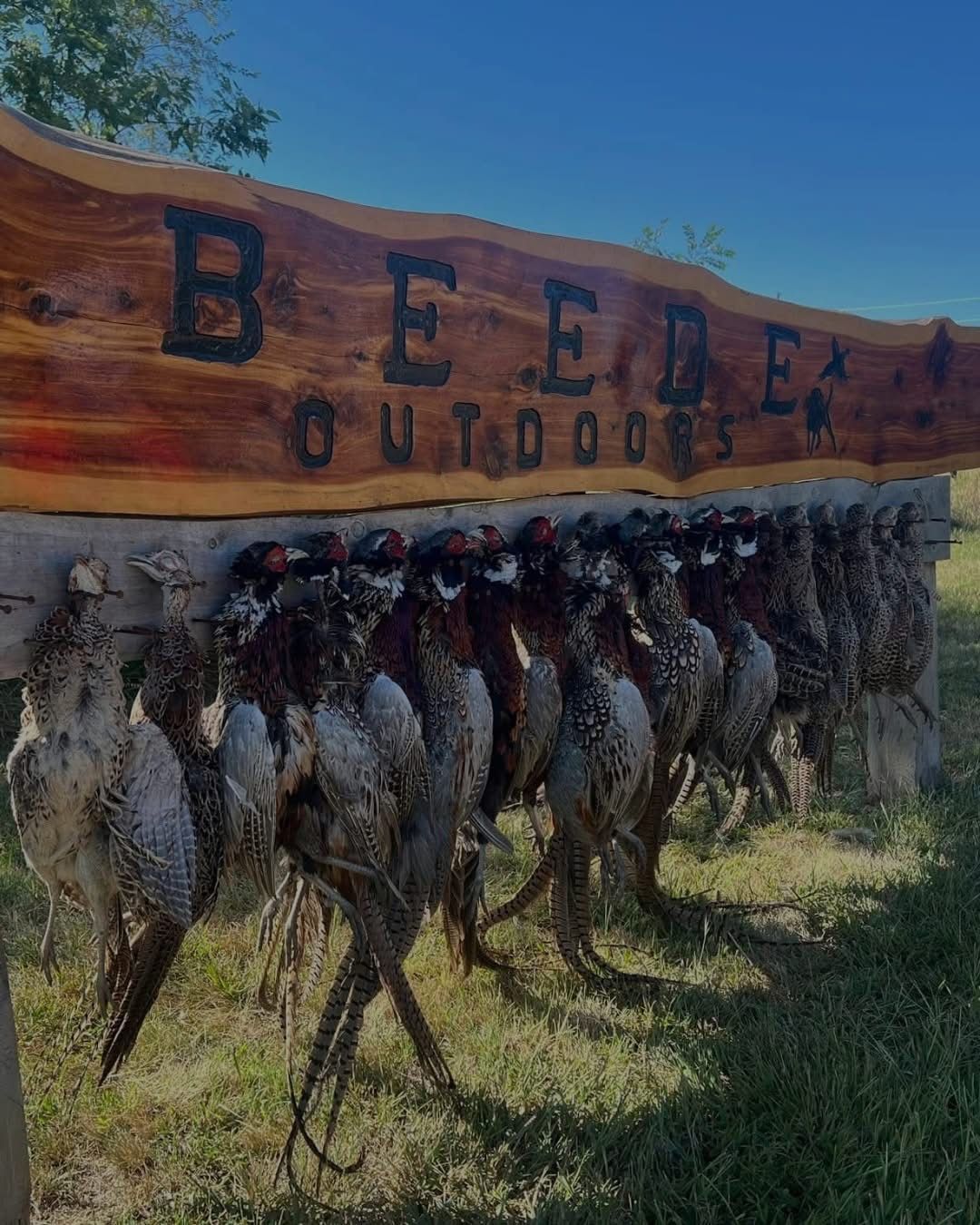Pheasants hanging below a wooden sign that reads 