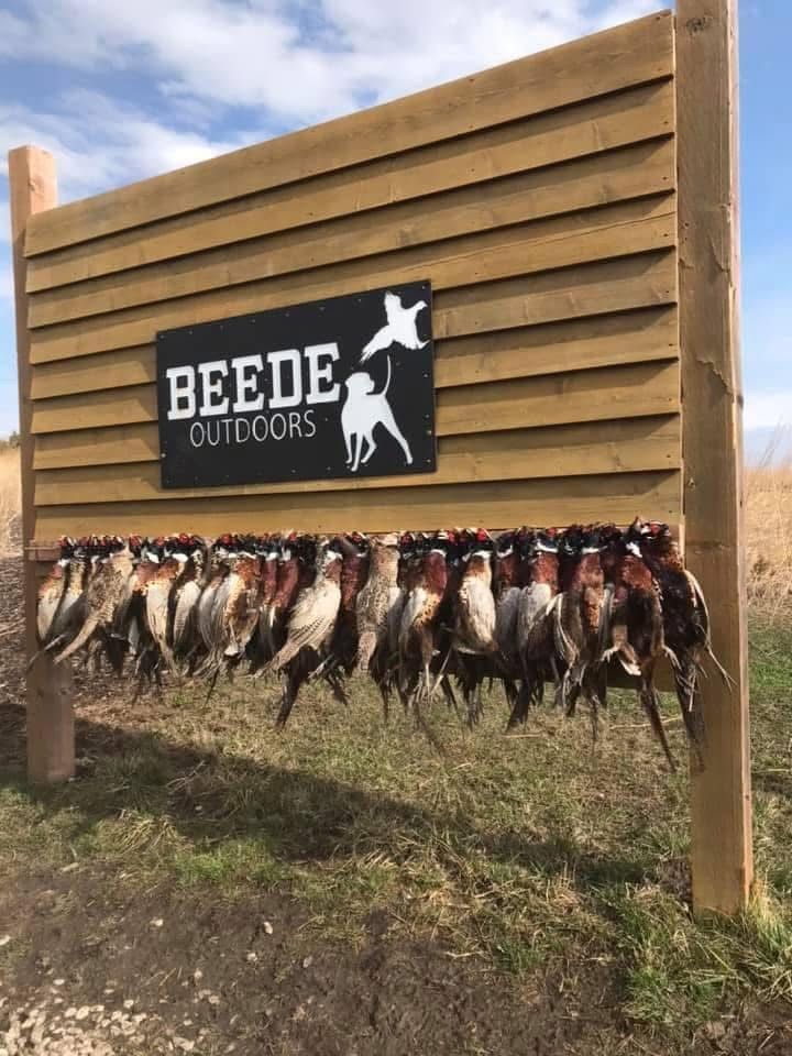Pheasants hanging on a wooden sign for 