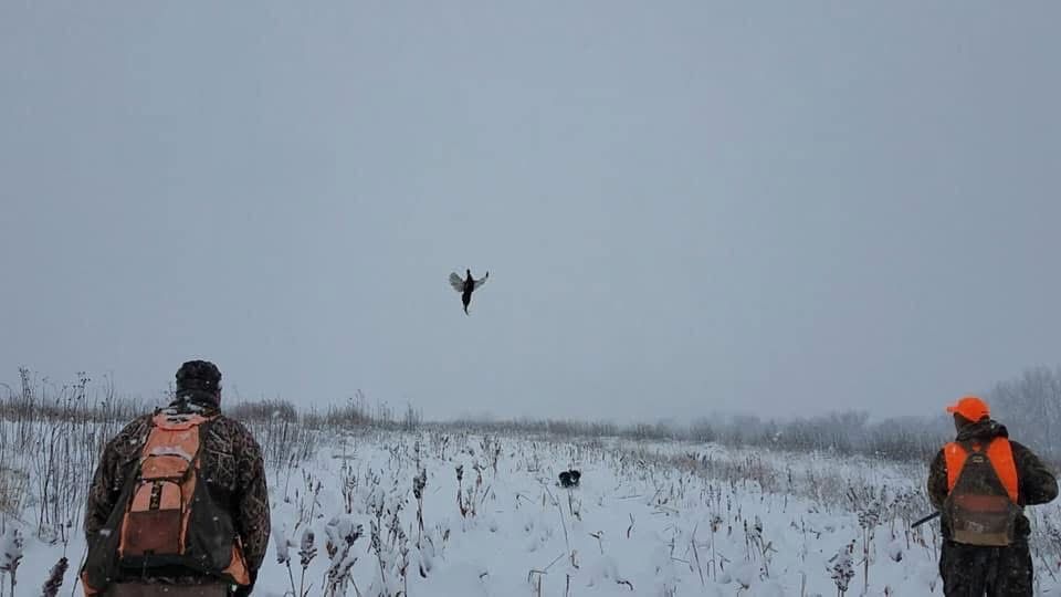 Two hunters in snowy field watch a bird in flight.