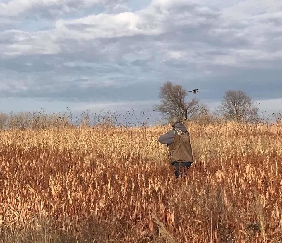Hunter in tall, brown grass, aims at birds in a field under a cloudy sky.