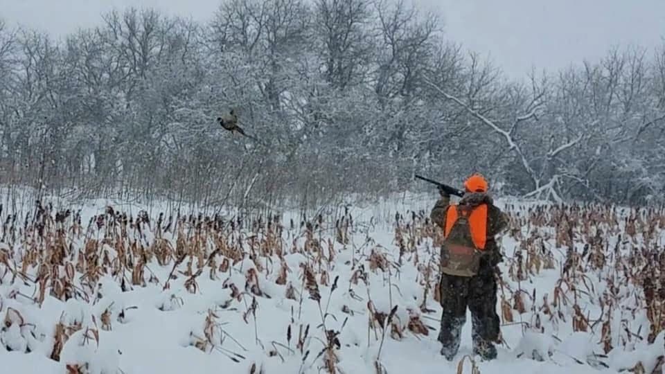 Hunter in orange vest aims a shotgun at a bird flying over a snowy field and trees.