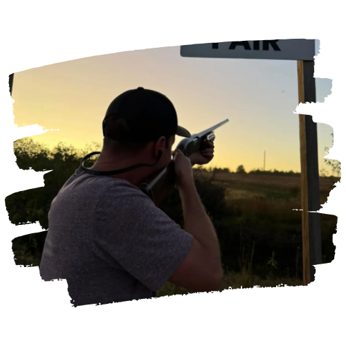 Hunter and two dogs in field; one dog holding bird.