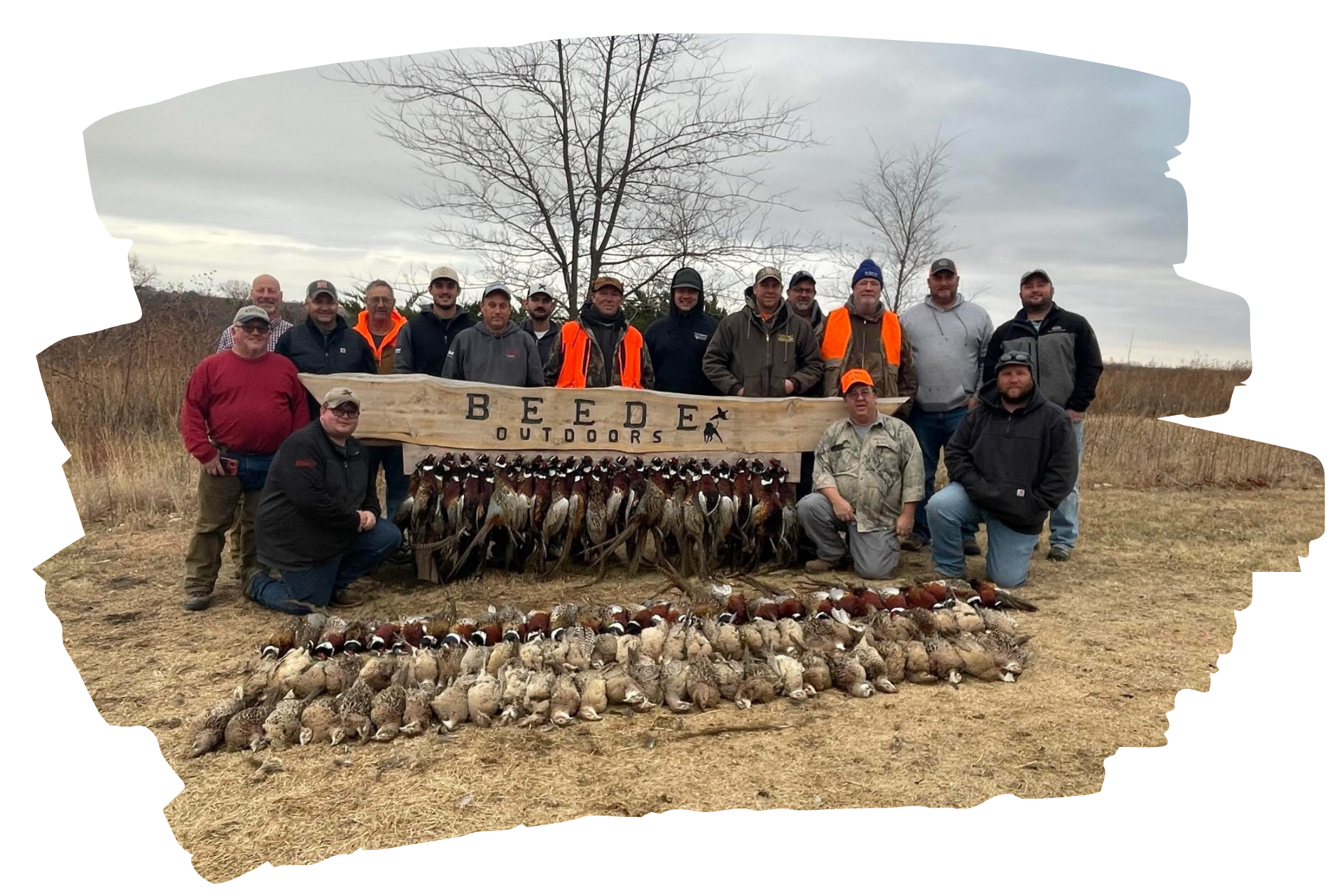 Hunter with gun and dog in a field, mountains in background.