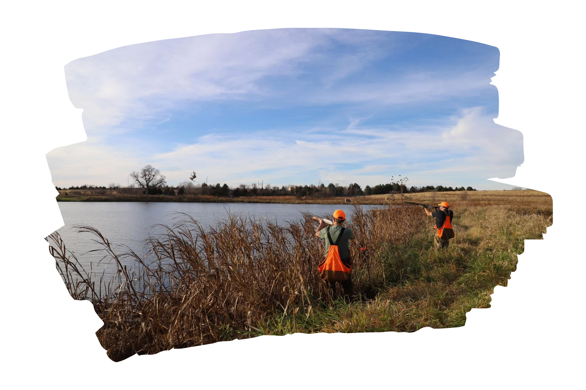 Person holding a rifle stands between hay bales in a field; sunny day.