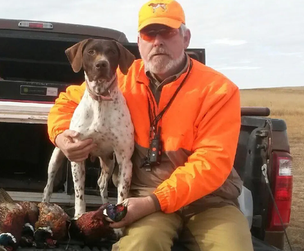Man in orange hunting gear with dog, holding pheasant, sitting on truck. Brown and white dog, outdoor setting.