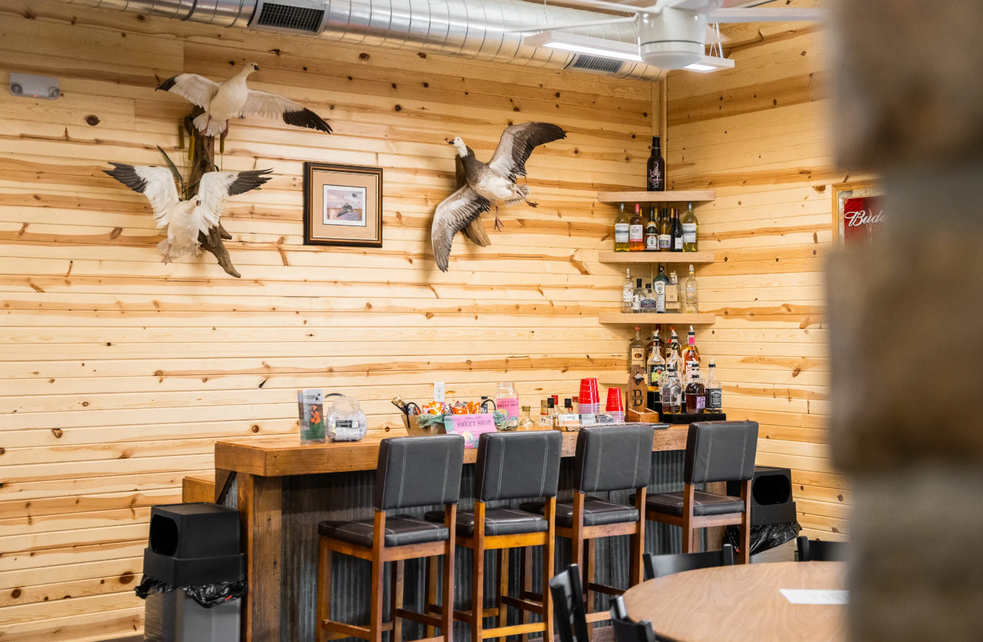 Interior of a bar with wood paneling, taxidermy birds, a bar, and stools.