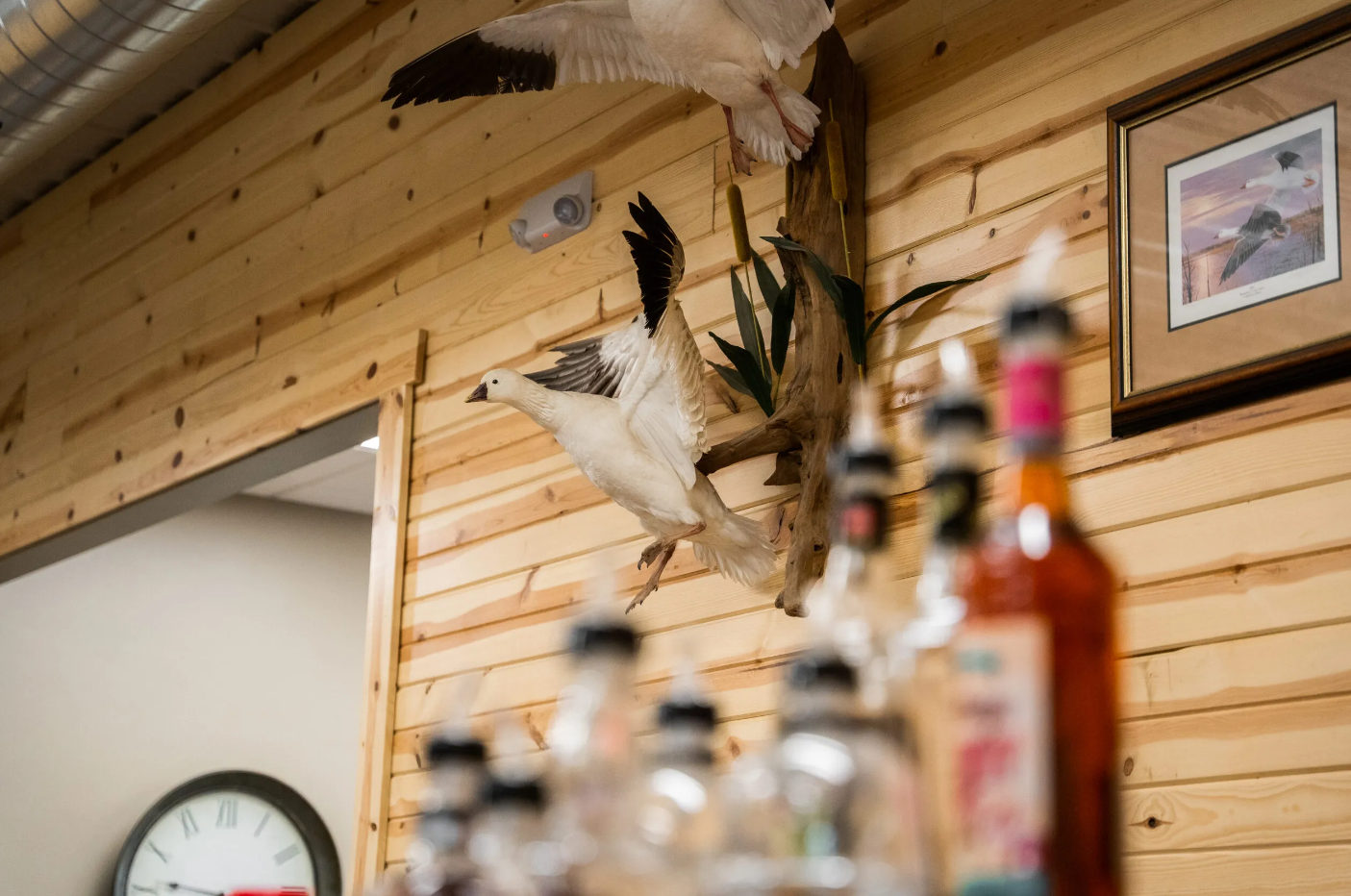 Wooden bar interior with mounted bird, bottles, and clock.