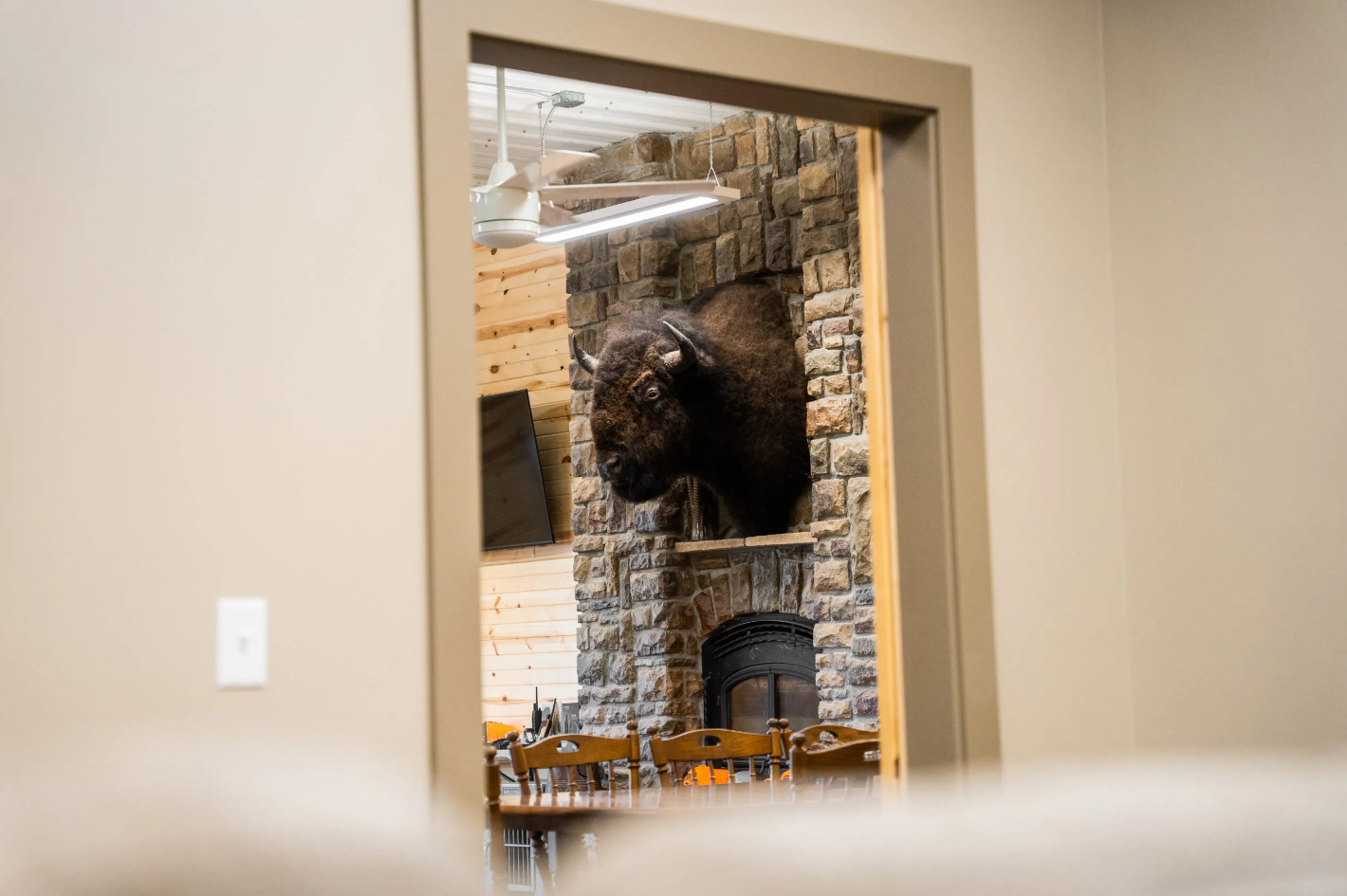 A taxidermied bison head above a fireplace, viewed through a doorway.