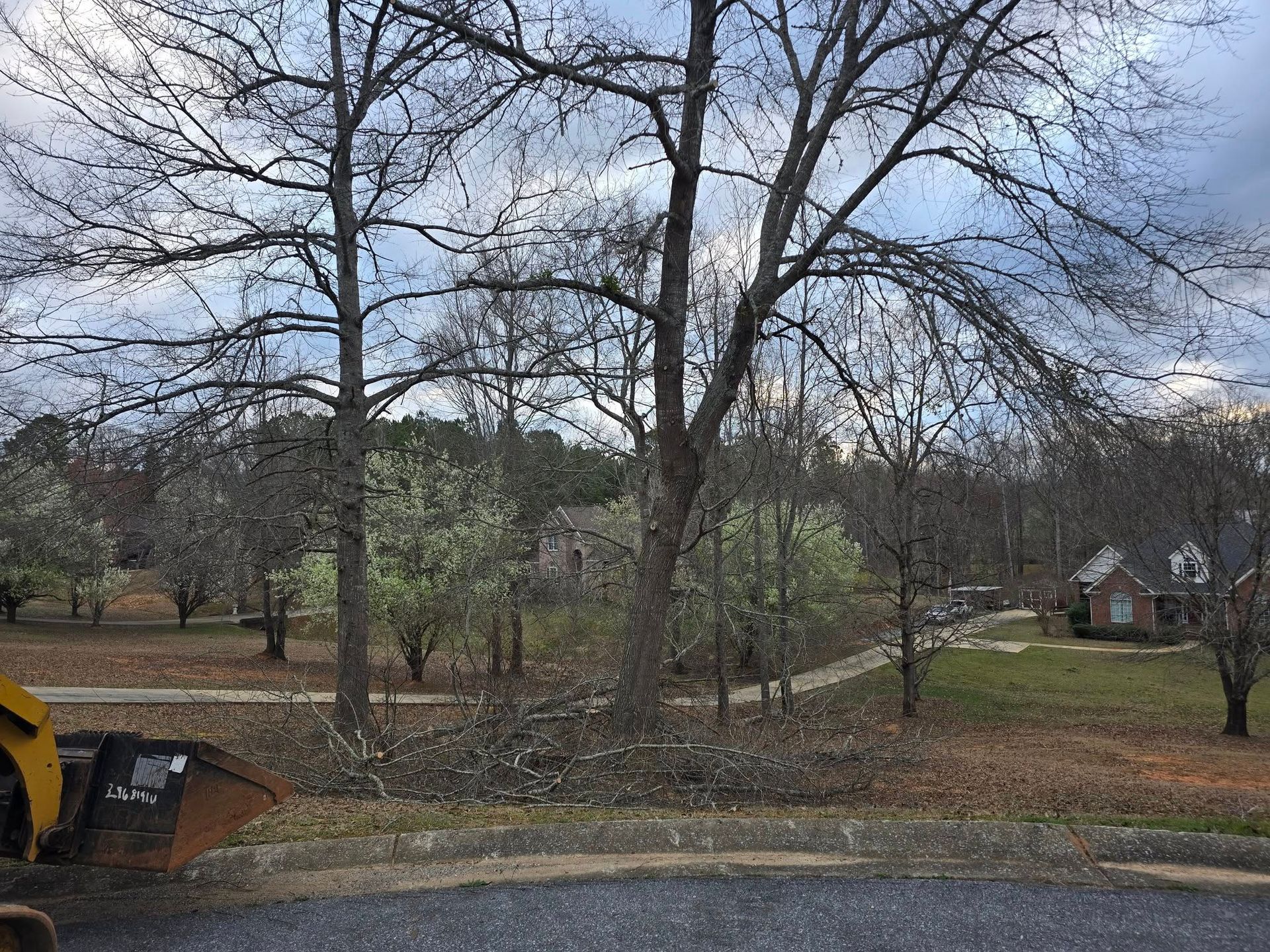 A yellow tractor is driving down a dirt road next to a tree.